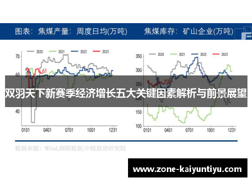 双羽天下新赛季经济增长五大关键因素解析与前景展望