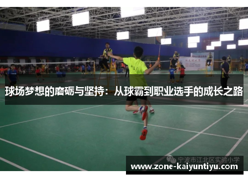 球场梦想的磨砺与坚持：从球霸到职业选手的成长之路