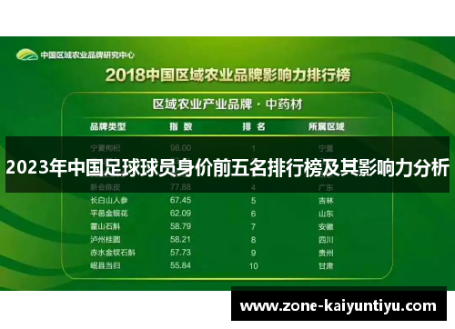 2023年中国足球球员身价前五名排行榜及其影响力分析